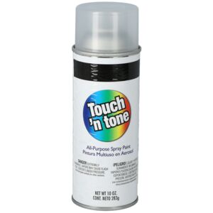 DAP Touch'n Tone All-Purpose Spray Paint Clear 10oz DAP Touch'n Tone All-Purpose Spray Paint Clear 10oz